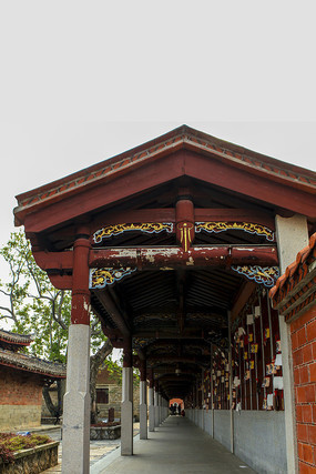 ͬ���׸��೤��