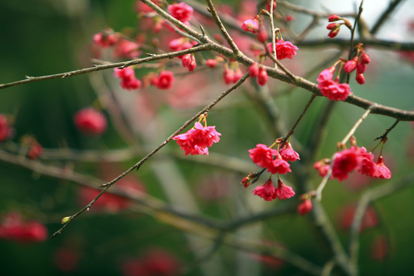 ӭ������