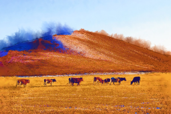 ����ˮ�ʻ�������ţȺ��