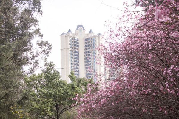 ��ɫ�ĺ��Ļ����¥