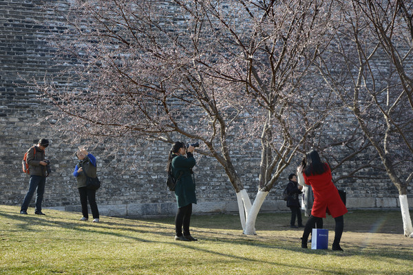 ����÷��