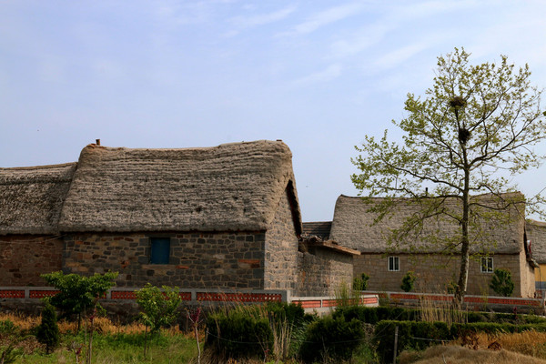 ʯǽ���ݷ�����ͼƬ