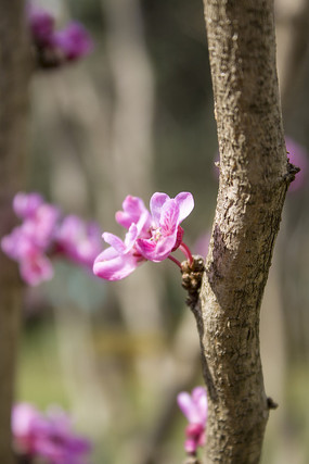 �Ͼ�������