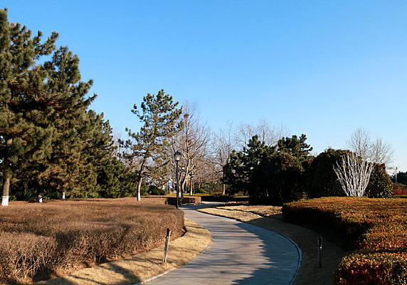 ��԰С·����