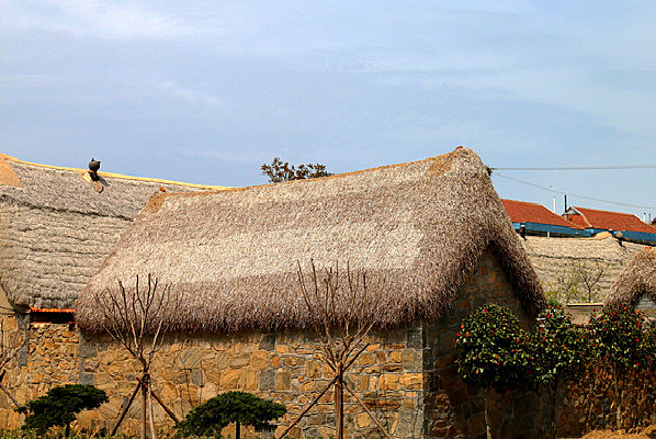 ��庣�ݷ�ͼƬ