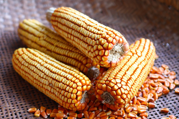 ���װ�����ͼ