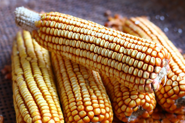 ���װ�������Ӱͼ