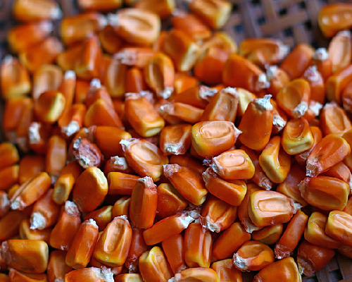 �������Ӹ�����Ӱͼ