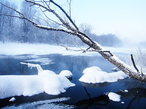 ��ѩ����