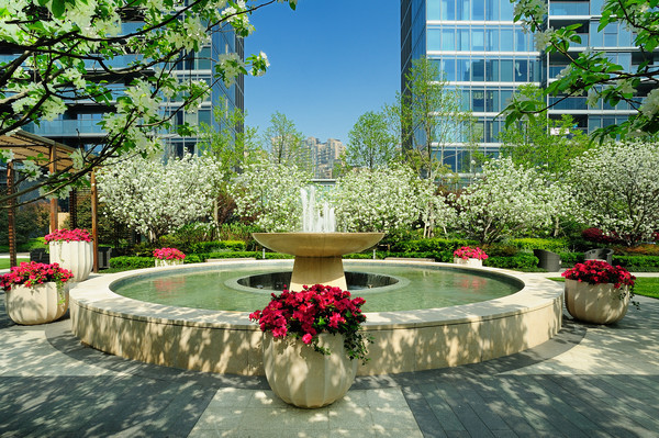 ������ɫǮ��԰��