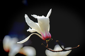 �ڱ���������