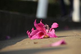 ���ڵ��ϵ��Ͼ���