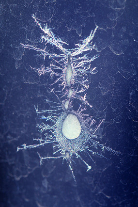 ֩�����͵Ĵ���˪�� 