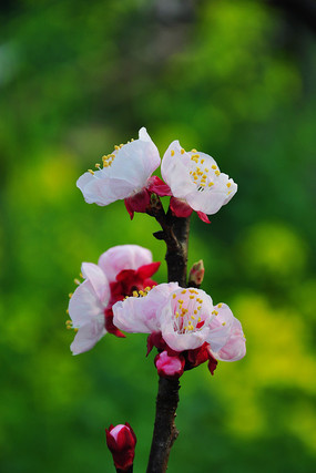 ��������ʱ