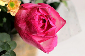 õ�廨����