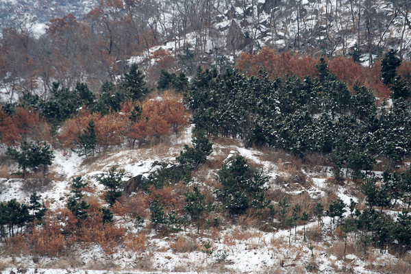 ��ѩ��ɽ�� 