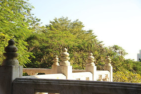 Բ�����̻�