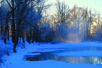 ����ɭ����ڡ���