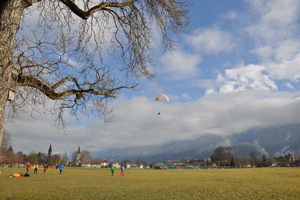 �������������