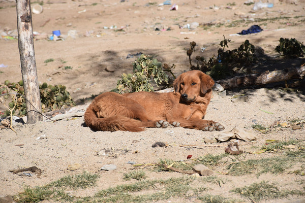 ������С��