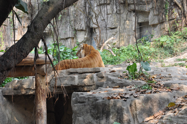 ���µ��ϻ�