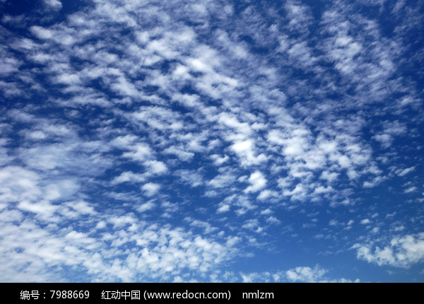 ����Ʋ�ͼƬ