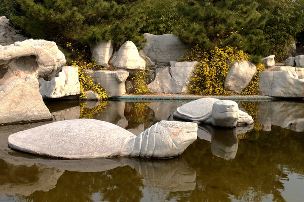 �ڹ�ʯ��ͼƬ