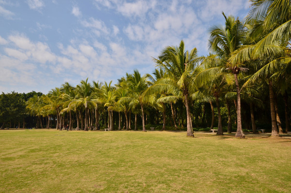 ԰������