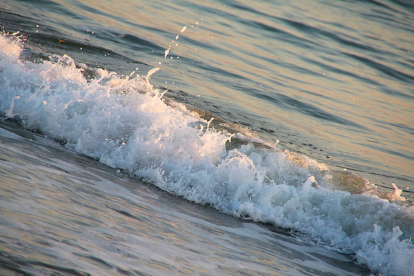 Ϧ���˻����о�ֹ