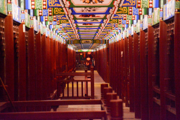 �Ļ����ȵ�ҹ��