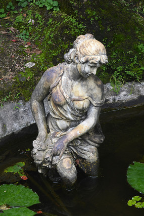 �ɻ��ص�Ů����