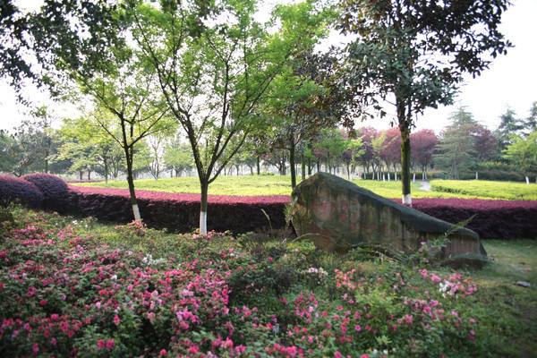 ����ֲ��