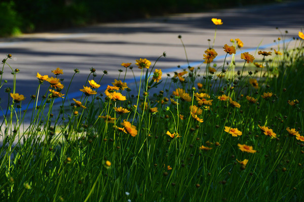 �ջ�����