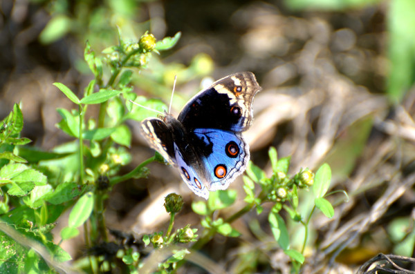 ��������ɫ�����ݴ���