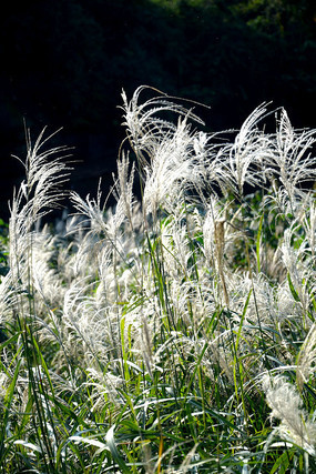 ����«έ�׷�