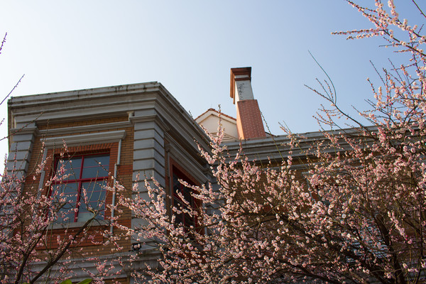 �滨Χ�Ƶķ���