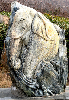 ������ͼƬ