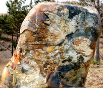 �������