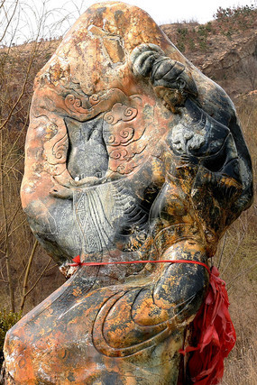 ����ɹò���֥ͼƬ