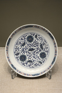 �������ʲ�֦����