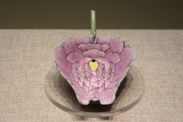 �����۲�ĵ������