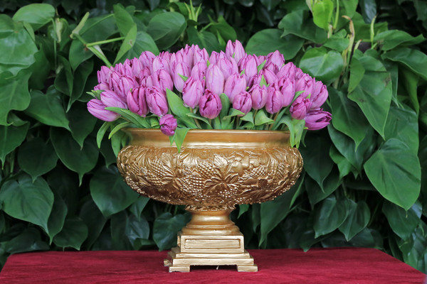 �������̩