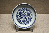 �����໨��֦����