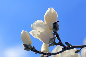 �����µ�������