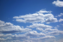 �����Ʋ�