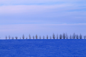 ѩҰũ������� 