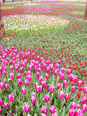 �����㺣��