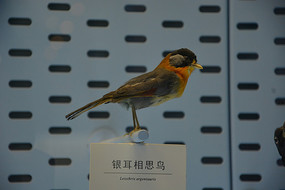 �걾������˼��