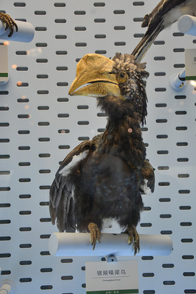 �걾������Ϭ��