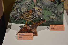 �걾�л����